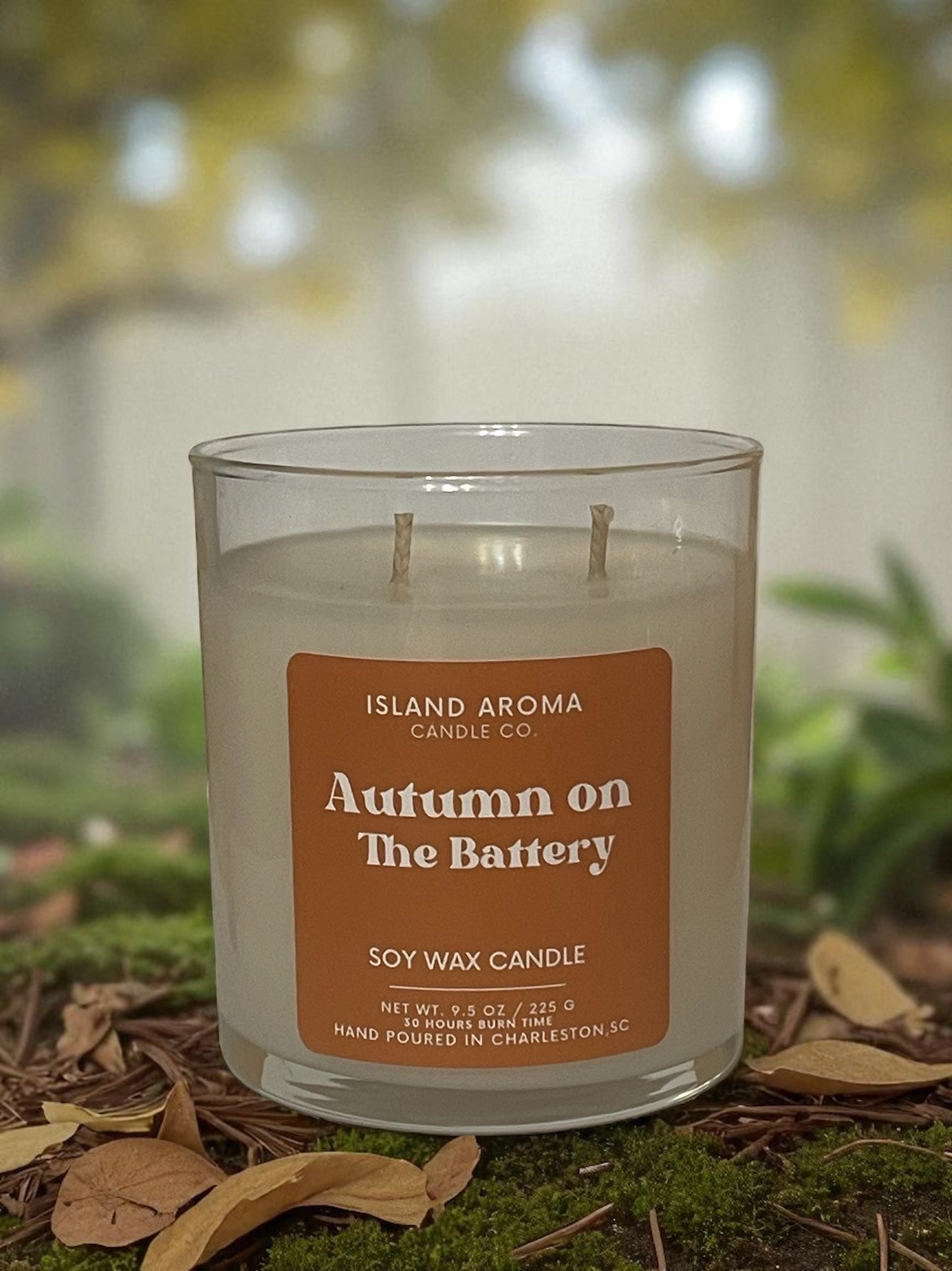 Autumn on the Battery